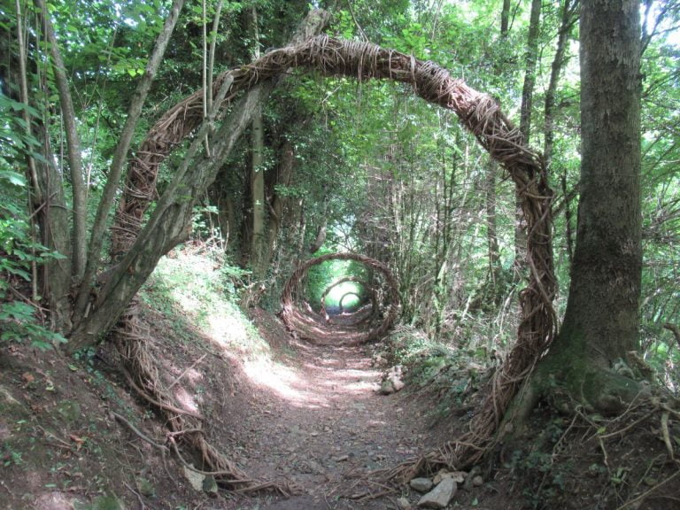 Sentiero Dei Sarvanot E Babaciu A Monterosso Grana