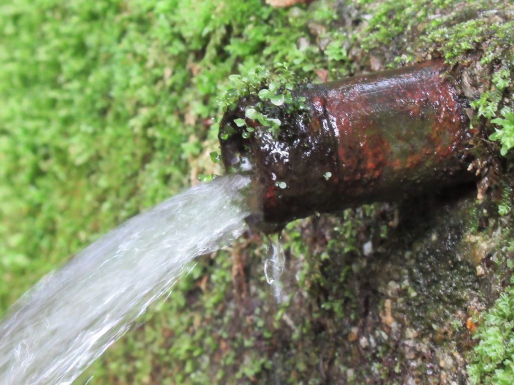fresca acqua di sorgente