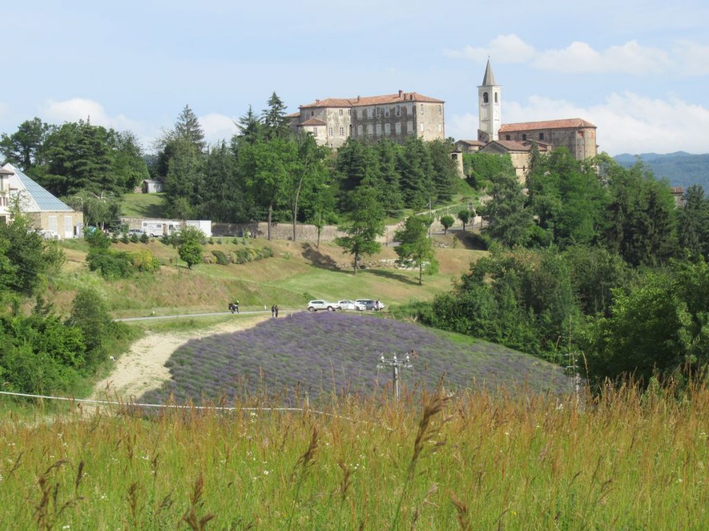 Sale San Giovanni e un campo di lavanda