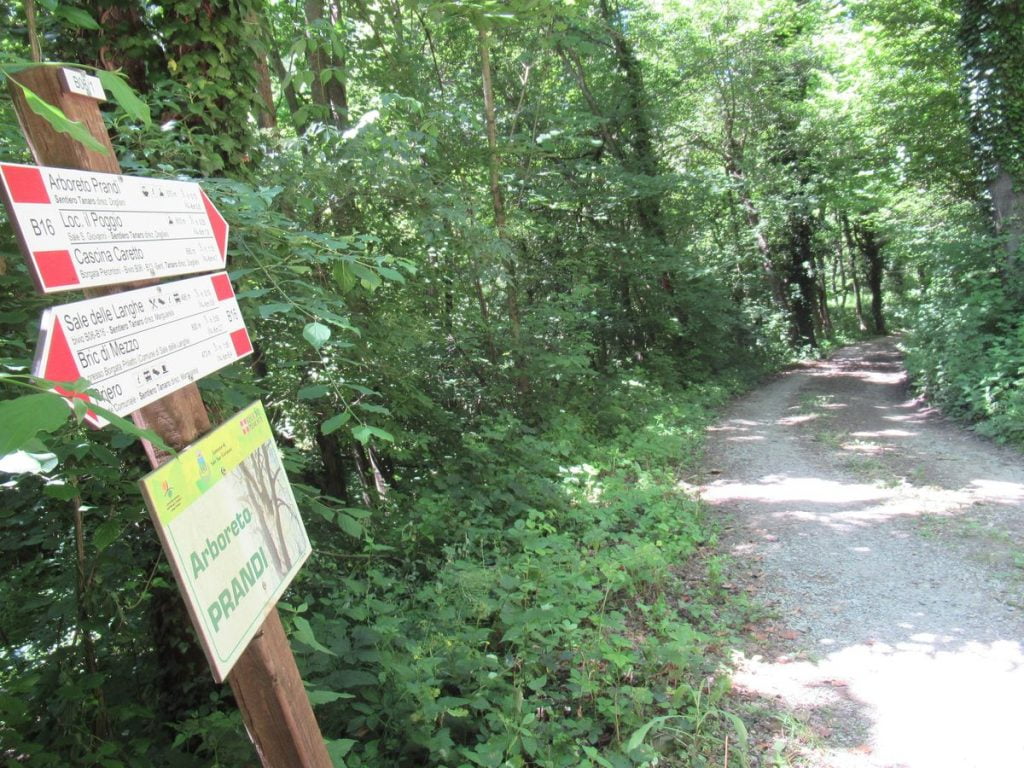Arboreto Prandi: ci siamo quasi!