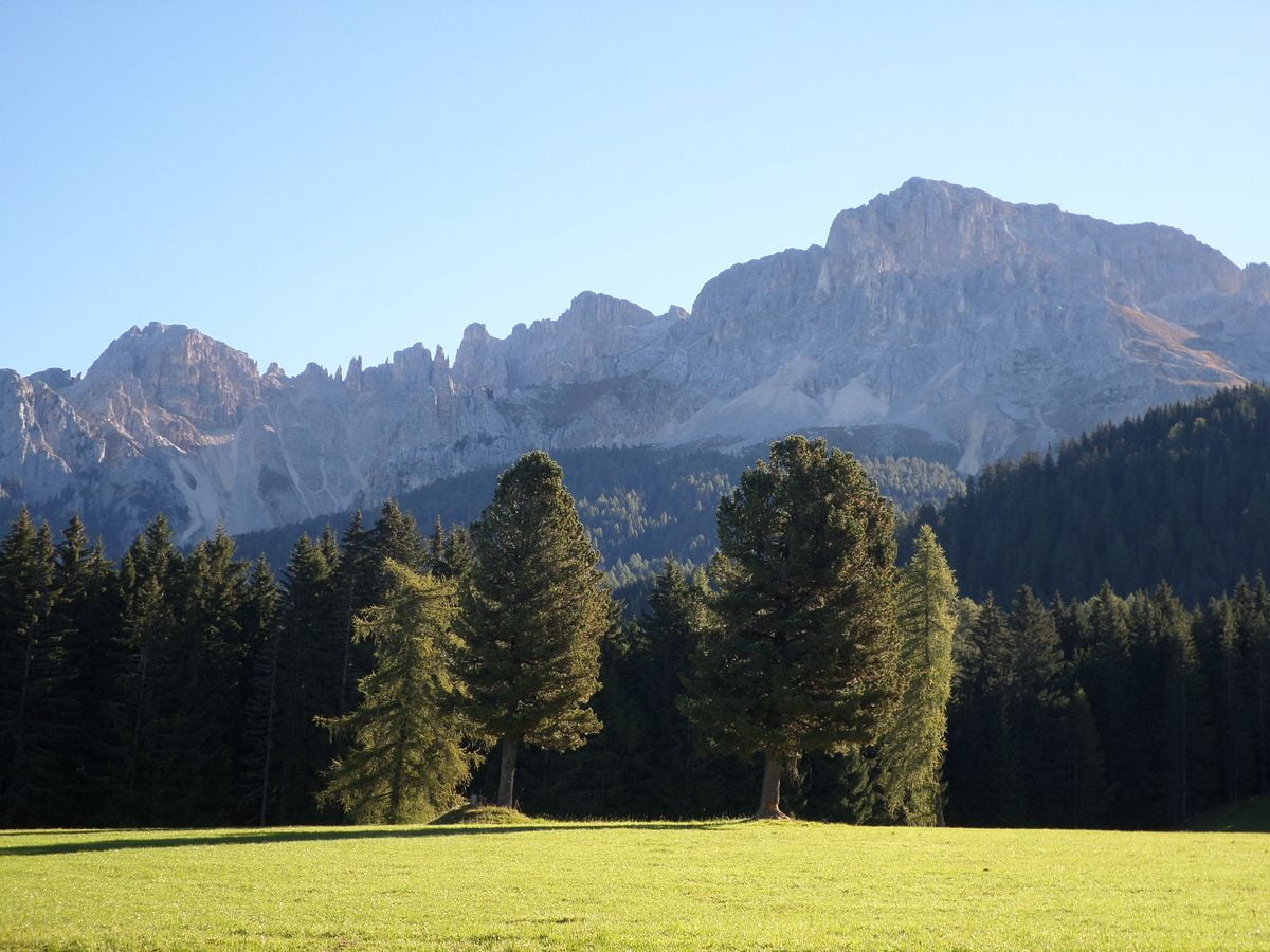 panorama sul Latemar da Obereggen