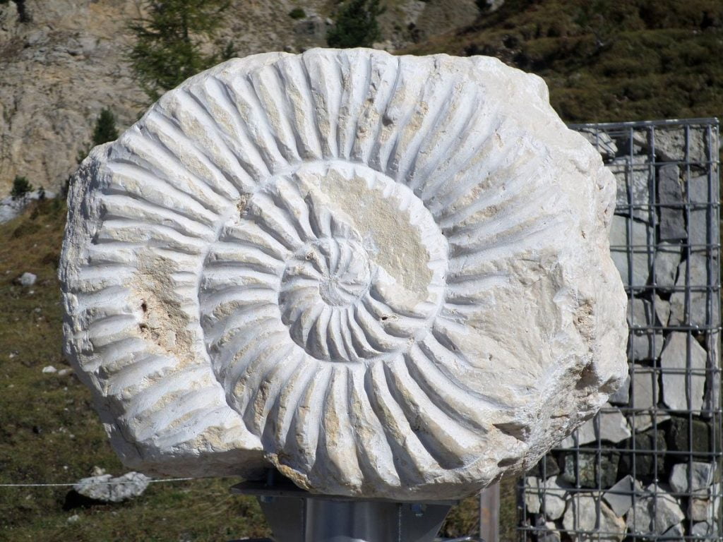 grande fossile