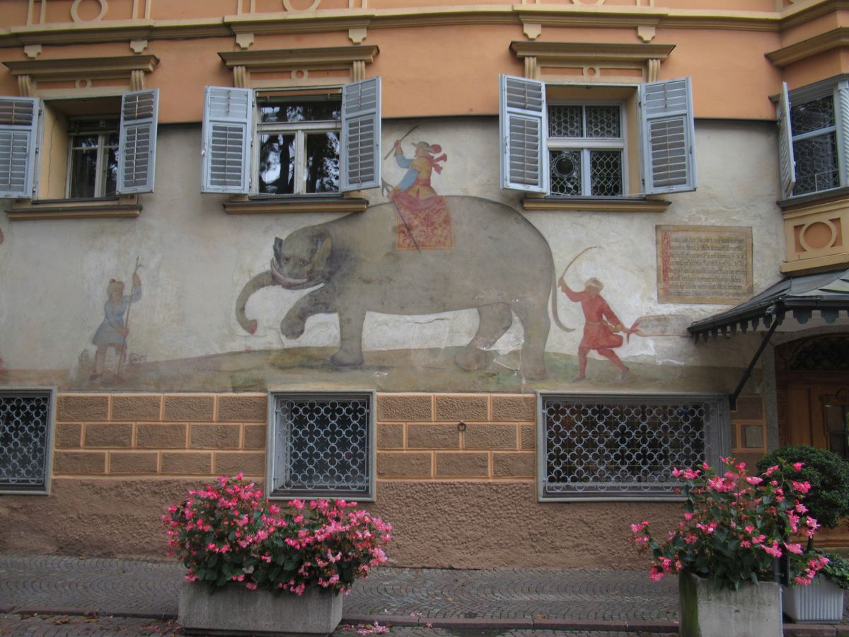 lo storico passaggio a Bressanone dell'elefante Soliman nel 1551