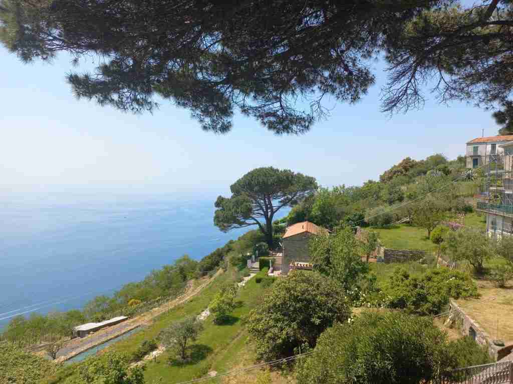 Campiglia