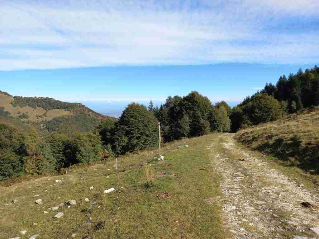 sella Morteis