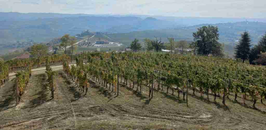 geocaching nelle Langhe