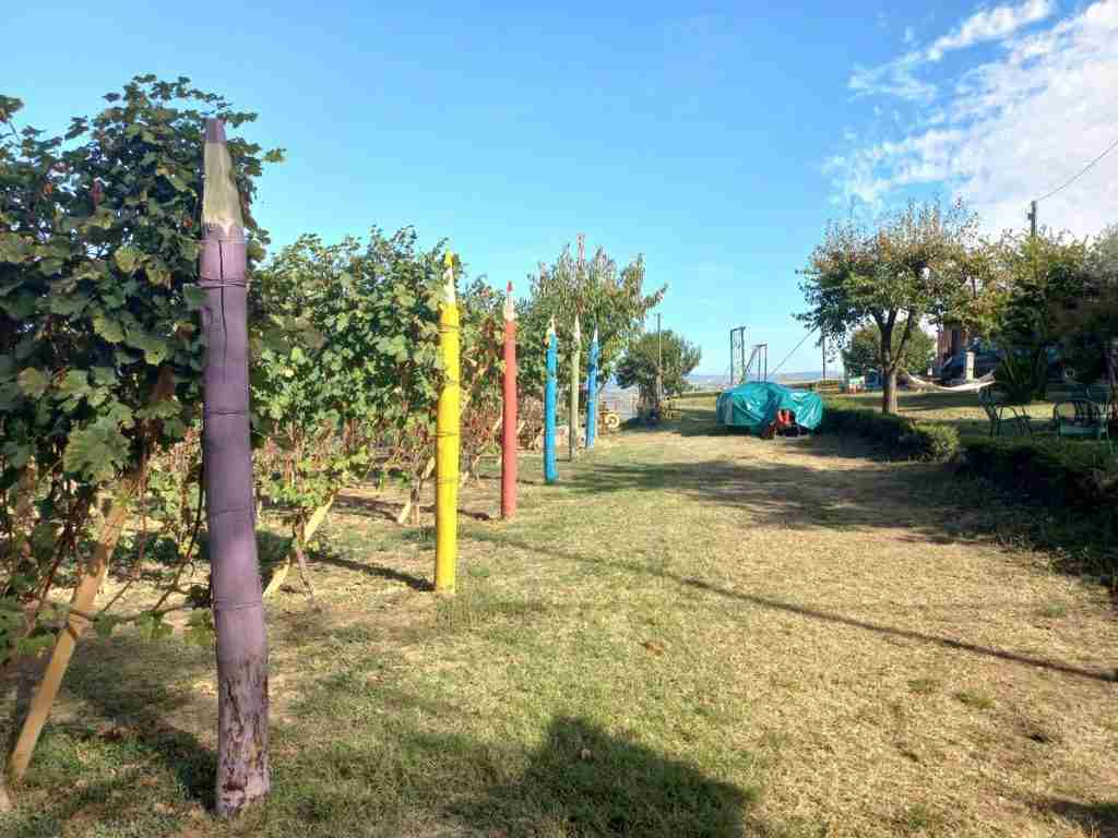 matite giganti a Verduno