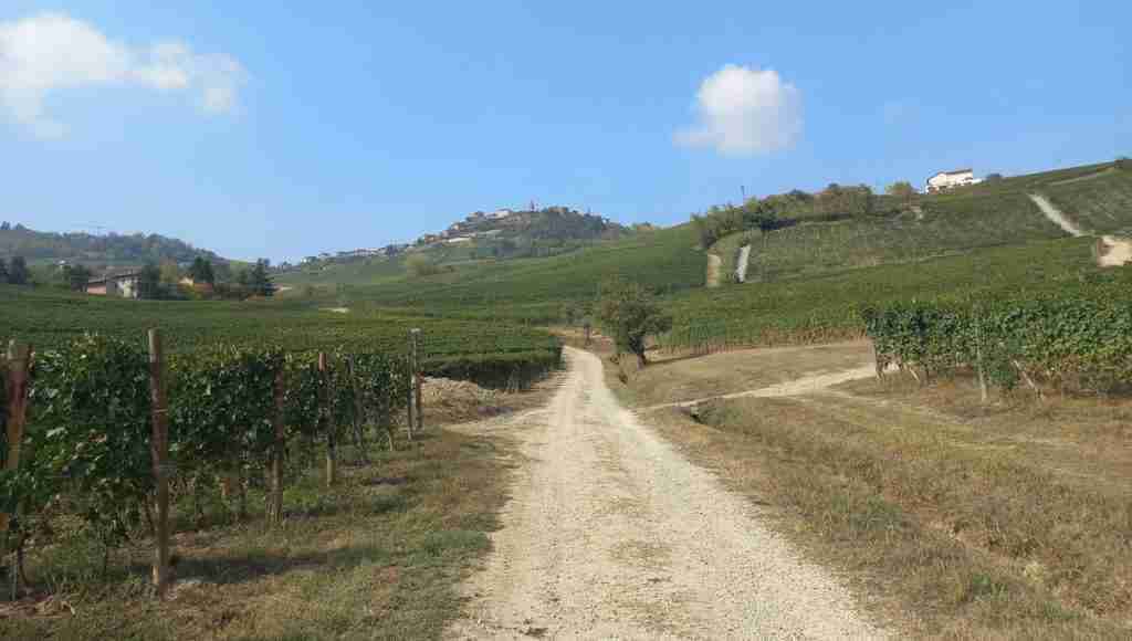 sentiero del Barolo di La Morra