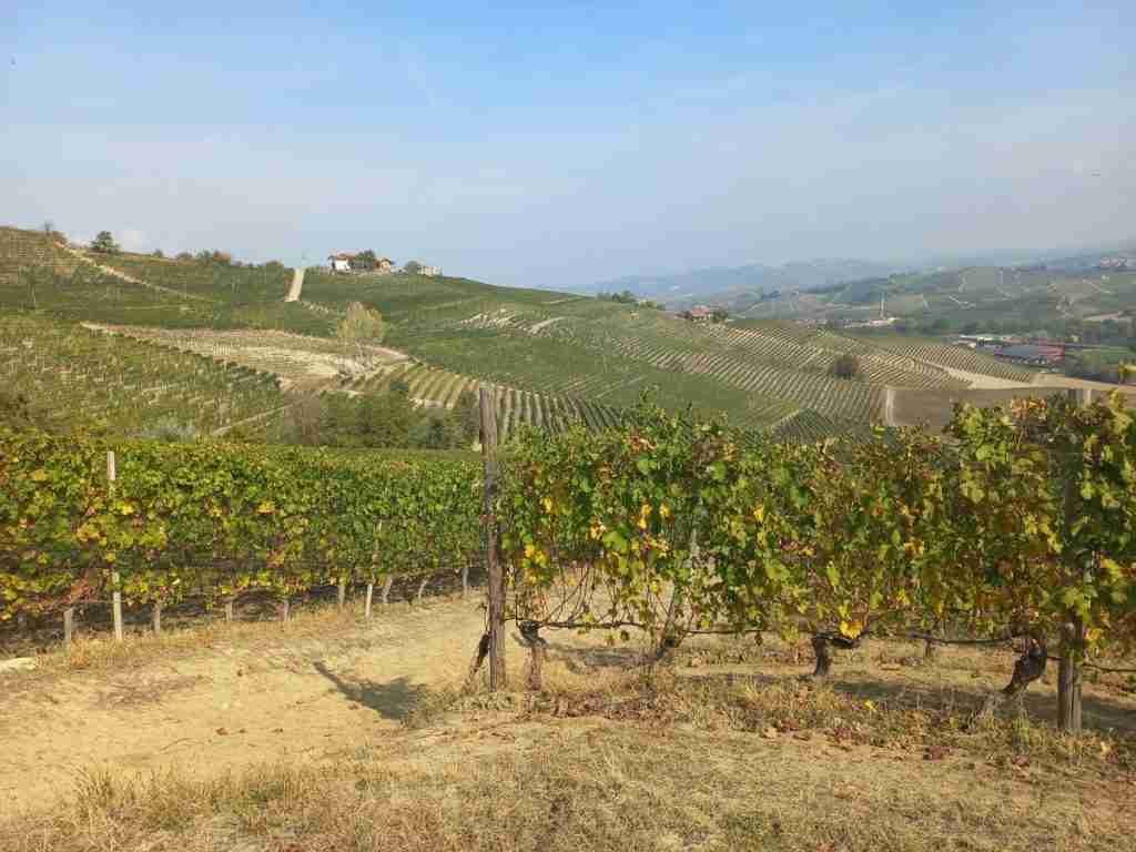sentiero del Barolo di La Morra