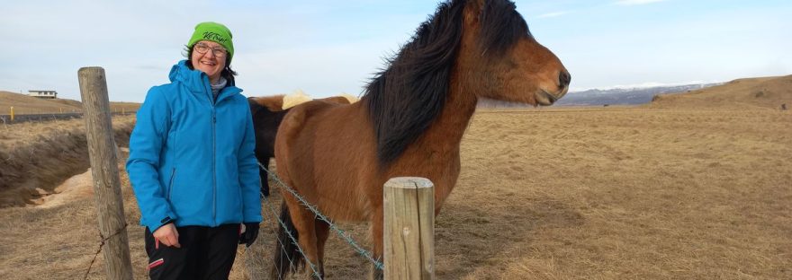 la curiosità sull'Islanda che porterò per sempre nel mio cuore è l'incontro col simpaticissimo cavallo islandese