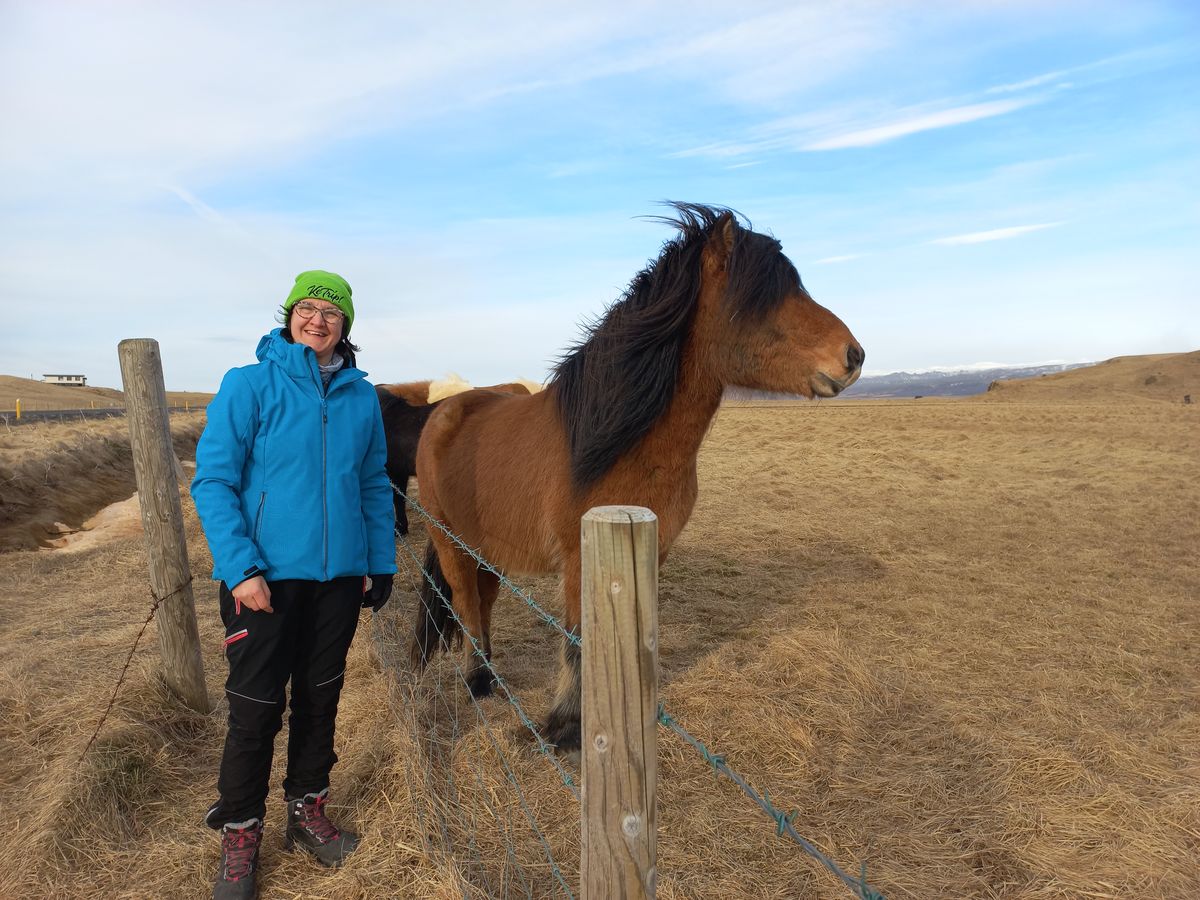 la curiosità sull'Islanda che porterò per sempre nel mio cuore è l'incontro col simpaticissimo cavallo islandese