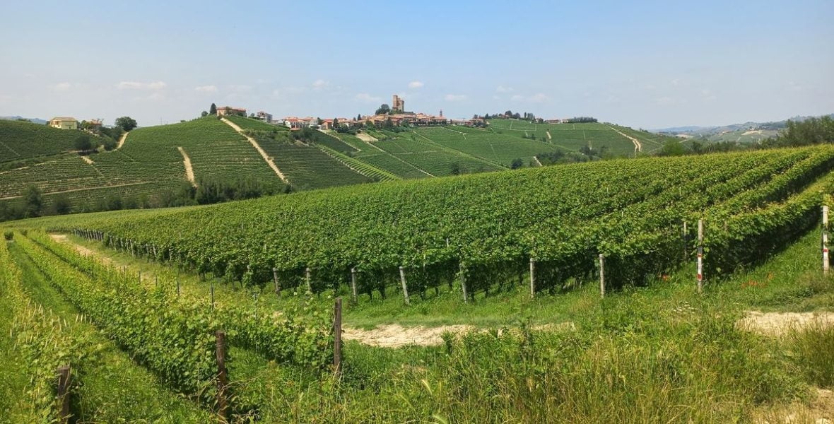 Barolo Roddino Roddino: una giornata tra street art, tartufi e cicloescursionismo