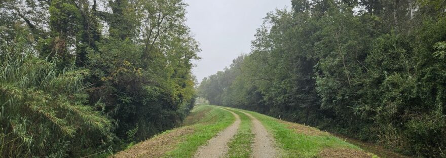 circondata dalla natura