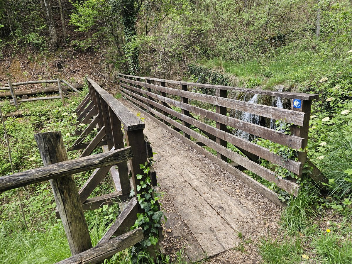 nel bosco ad Aisone