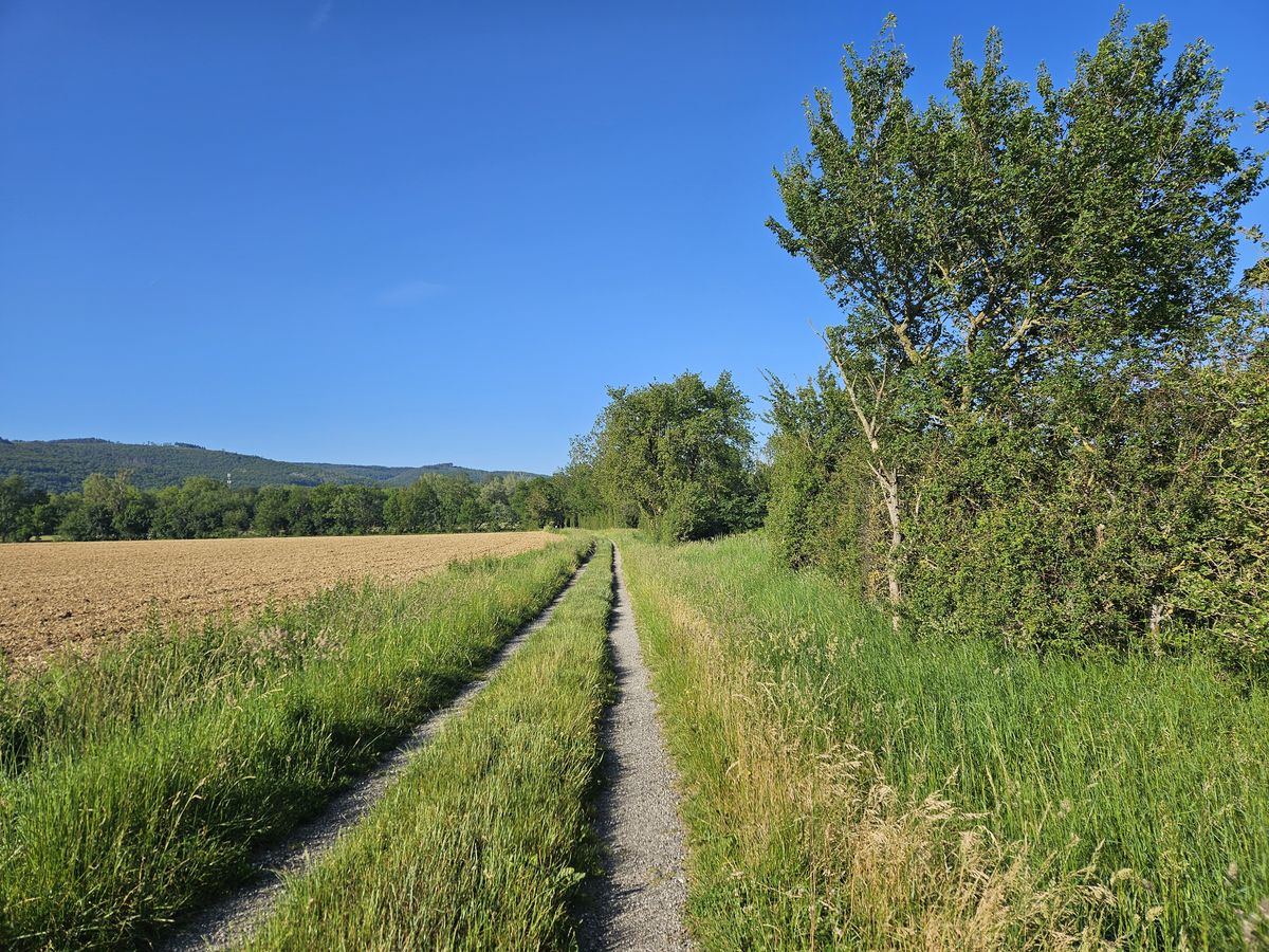 tra le campagne francesi
