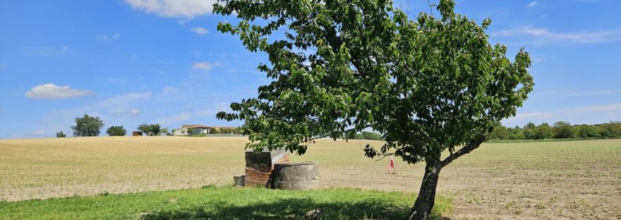 ancora tra le campagne francesi