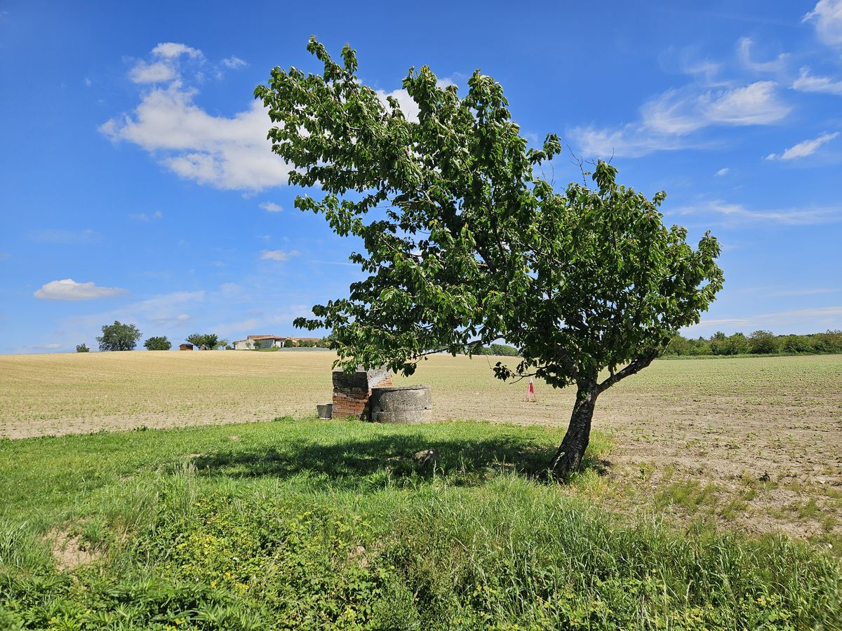 ancora tra le campagne francesi