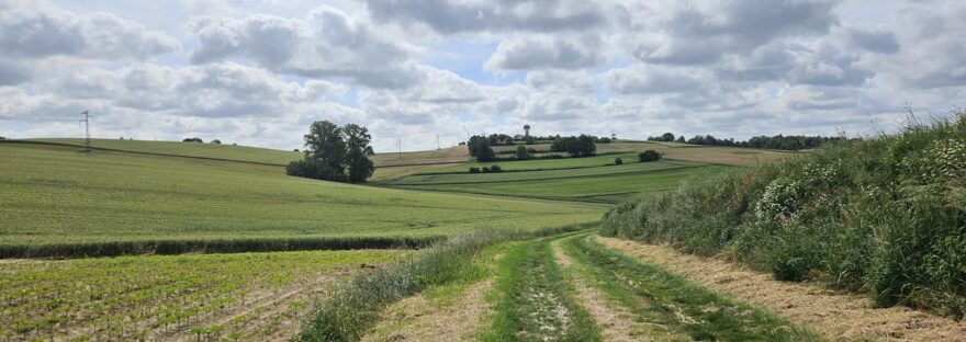 da Villefranche de Lauragais a Montgiscard: tra i campi