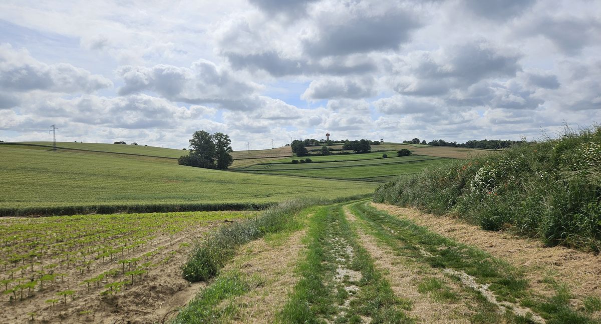 da Villefranche de Lauragais a Montgiscard: tra i campi