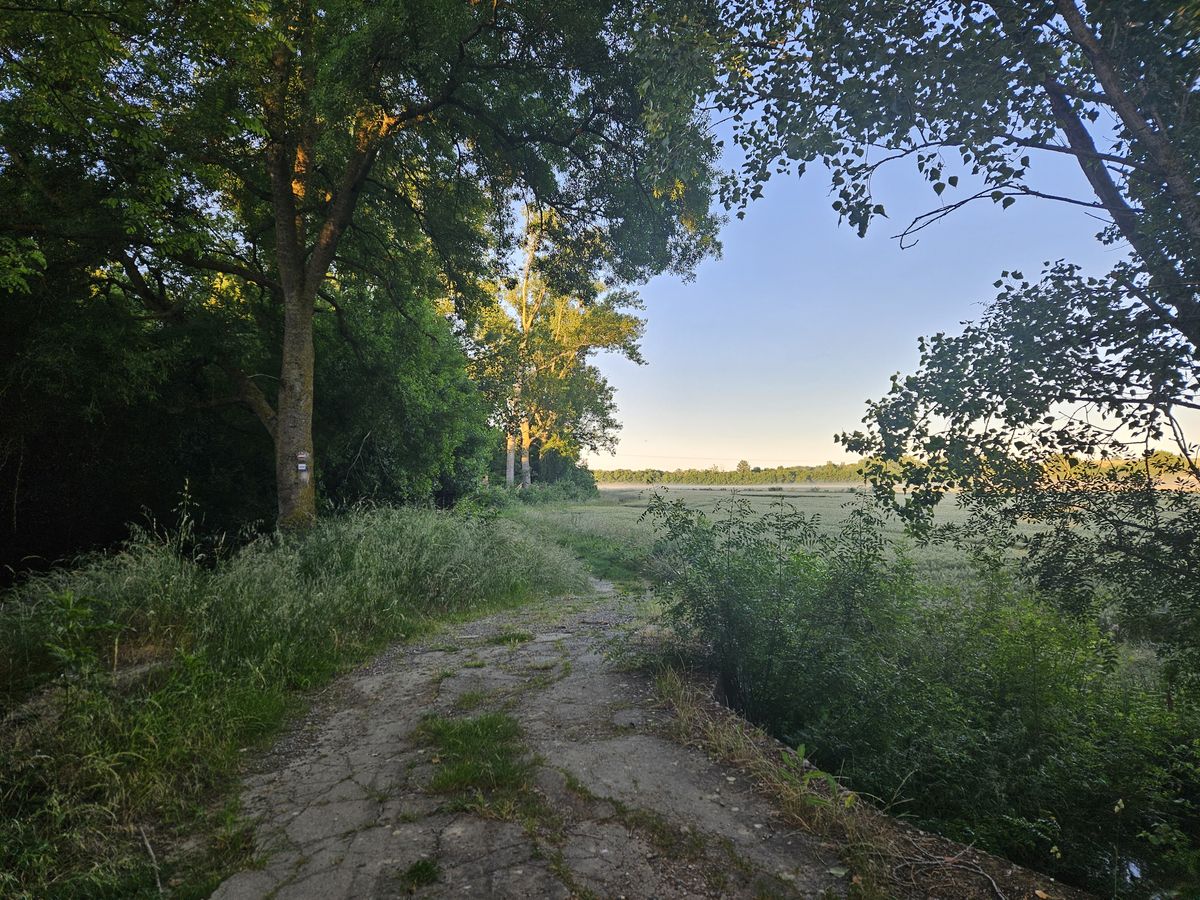 da L'Isle Jourdain a Gimont immersa nella natura