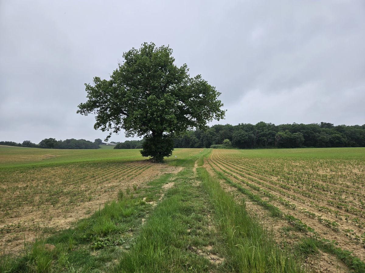 tra le campagne francesi