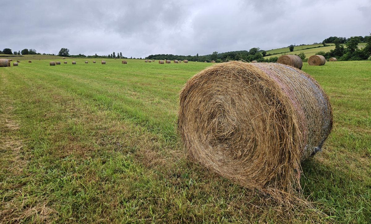 camminando verso Marciac