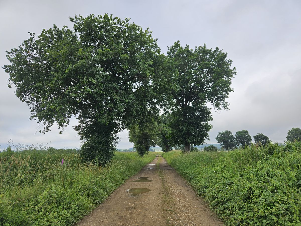 tra le campagne francesi