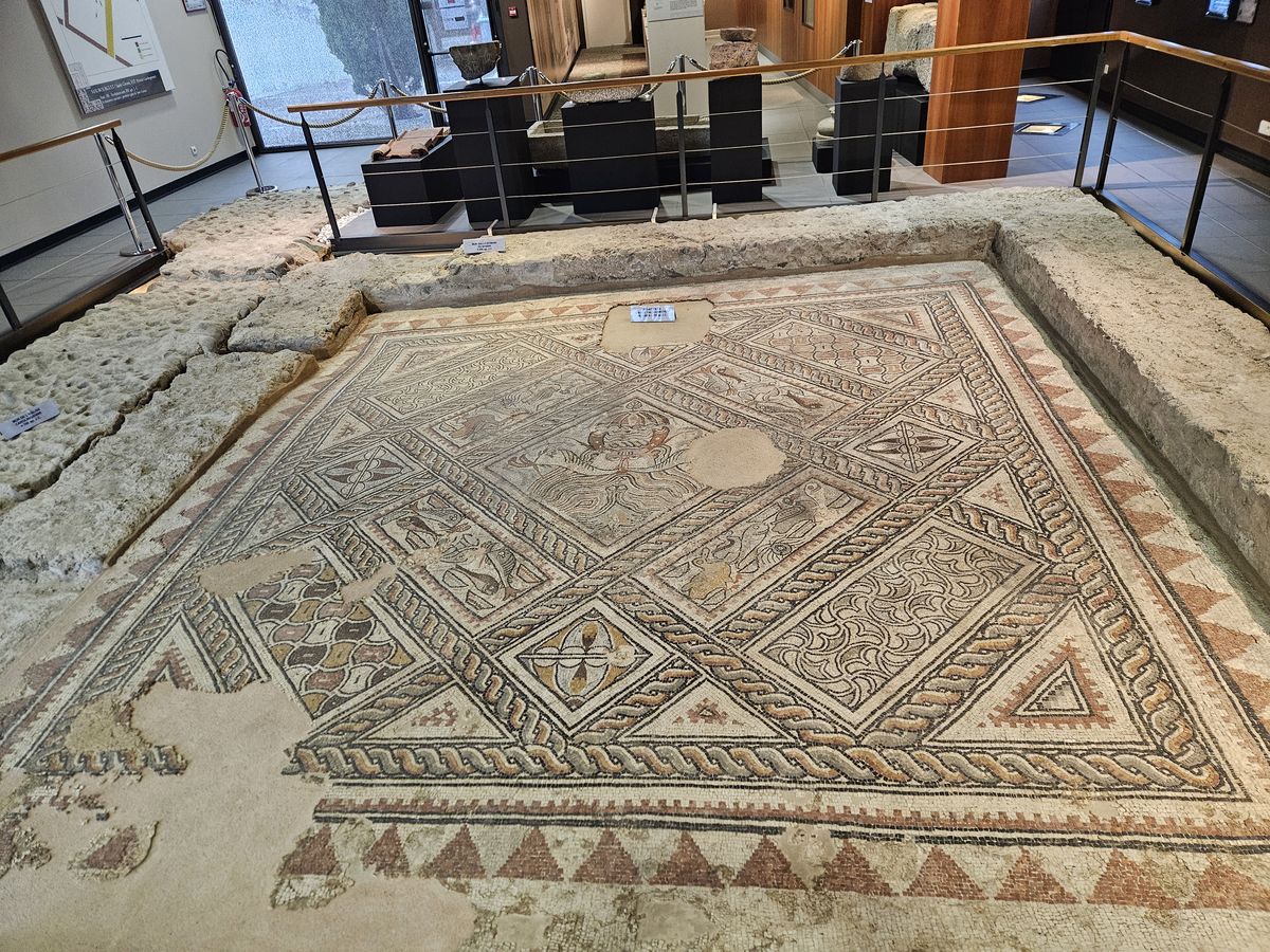mosaico nel museo archeologico di Maubourguet
